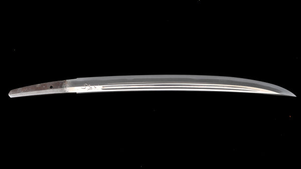 Three Tantō Blade Shapes: Shōbu, Unokubi, and Kanmuriotoshi