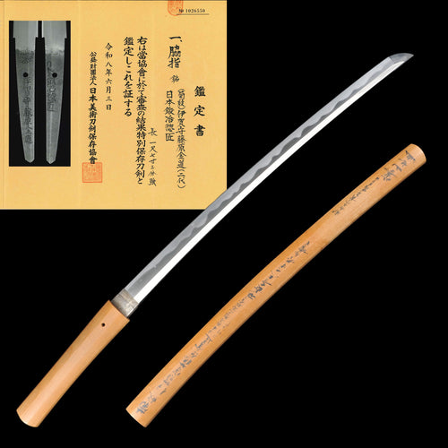 Antique Japanese Wakizashi Sword - Kinmichi, Shintō Era - NBTHK Tokubetsu Hozon (52.6 cm)
