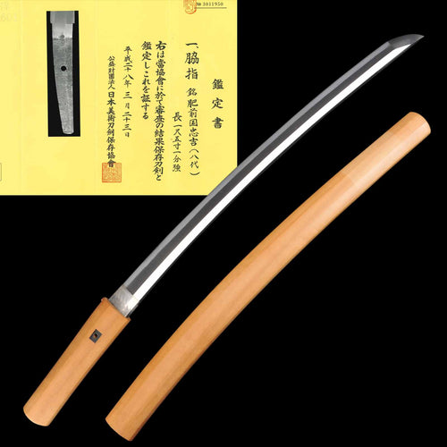 Authentic Shinshinto Era Wakizashi for Sale - Tadayoshi(8th), NBTHK Hozon Certificate | Tozando